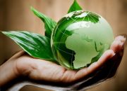 W8 Advisory Newsletter Hand Holing Green Globe
