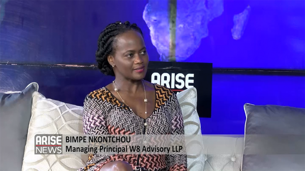 Image of Bimpe Nkontchou discussing wealth asset register